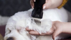 Maszynka do włosów Moser MOSER 1876-0063 Arco Pro Hair clipper 4