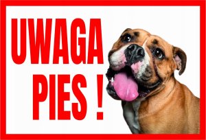 Mój dom Uwaga Pies ! Buldog - Tabliczka Ostrzegawcza Libres Polska Sp Tup-2 5902082237426 1