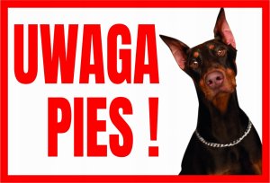 Mój dom Uwaga Pies ! Doberman - Tabliczka Ostrzegawcza Libres Polska Sp Tup-4 5902082237440 1