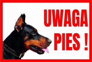 Mój dom Uwaga Pies Doberman - Tabliczka Ostrzegawcza Libres Polska Sp Tup-11 5902082237815 1