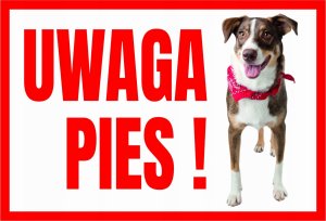 Mój dom Uwaga Pies ! Terrier - Tabliczka Ostrzegawcza Libres Polska Sp Tup-3 5902082237433 1