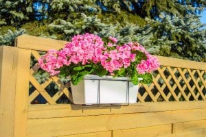 vidaXL Wieszak balkonowy do skrzynek i doniczek 59cm 3