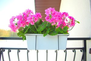 vidaXL Wieszak balkonowy do skrzynek i doniczek 59cm 5