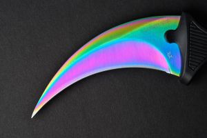 Fadecase Karambit Fade (10001) 3