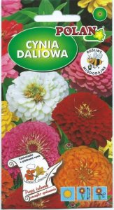 Polan PLATINET NASIONA CYNIA DALIOWA ZINNIA ELEGANS SEEDS 1 G 1