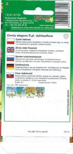 Polan PLATINET NASIONA CYNIA DALIOWA ZINNIA ELEGANS SEEDS 1 G 2