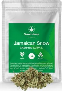 Beurer Jamaican Snow - Susz CBG 16% 1G 1