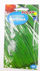 Polan PLATINET NASIONA SZCZYPIOREK OGRODOWY BOHEMIA CHIVE SEEDS 2 G 1