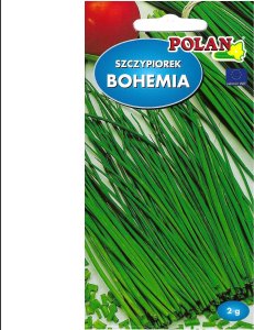 Polan PLATINET NASIONA SZCZYPIOREK OGRODOWY BOHEMIA CHIVE SEEDS 2 G 4