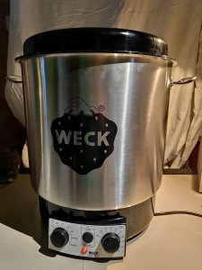 Jata WECK Preserving Cooker Stainless Steel with Clock 2