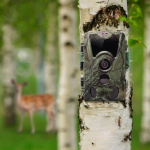 Kamera Suntek Fotopułapka HC801A 940NM 11