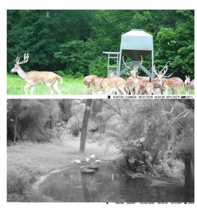 Kamera Suntek Fotopułapka HC801A 940NM 13