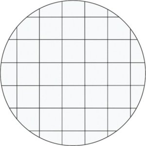 Oxford Zeszyt A4/80K kratka Touch Trend (5szt) OXFORD 2