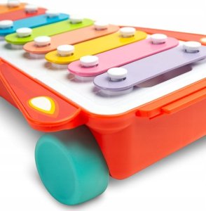 Toyz ZABAWKA EDUKACYJNA - TĘCZOWE CYMBAŁKI 5