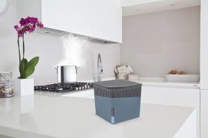 Wenko Wkład do pochłaniacza wilgoci 1000 g, pow. 80 m³ 12