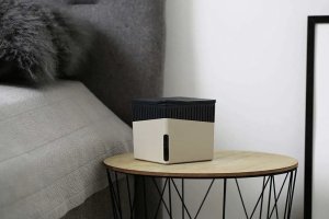 Wenko Pochłaniacz wilgoci, 40 metrów sześciennych, wymienne wkłady, kolor beżowy, stylowy kształt , zapobiega rozwojowi pleśni, grzybów 3