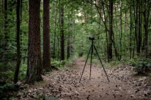 Statyw Fotopro Statyw Fotopro F5 z głowicą kulową FPH-52Q - czarny 14