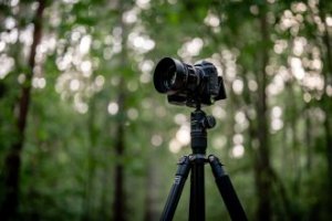 Statyw Fotopro Statyw Fotopro F5 z głowicą kulową FPH-52Q - czarny 15