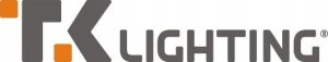 Lampa sufitowa TK Lighting Tk Lighting Hilton 4772 plafon lampa sufitowa 3x15W E27 biały/złoty 2