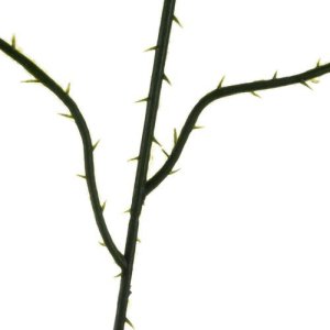 Gardlov Sztuczne liście 47cm- zestaw 12szt. Gardlov 22557 7