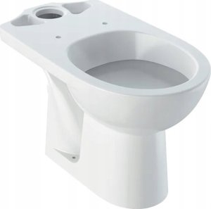 Miska WC Geberit Geberit Selnova Stojąca miska WC do spłuczki nasadzanej, lejowa, B36cm, H39cm, T67cm, odpływ poziomy [12] 1