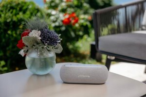 Głośnik Harman Kardon Głośnik Harman Kardon Luna szary 14