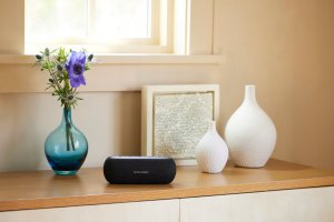 Głośnik Harman Kardon Głośnik Harman Kardon Luna szary 15