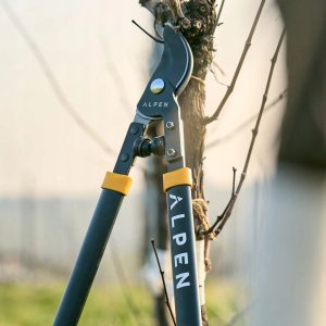 Sekator Bosch WEISSHORN 260 Lopper nożycowy 3