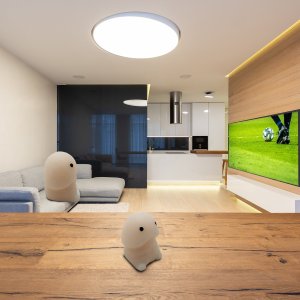 Thumbs Up Mad Monkey - Anti-Stress-Ball "Worlds Smallest Willy" 4