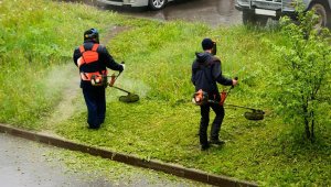 John Gardener Szelki do kosy spalinowej JG PREMIUM (15) 12