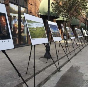 Maaleo Sztaluga malarska 23669 10