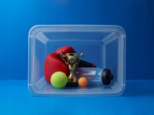 Moxom Pojemnik do przechowywania MOXOM BaseStore Color, 12,5l, pine, transparentny zielony 8