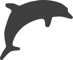 FANDY Heyda Dziurkacz ozdobny średni delfin 17mm 2