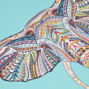 Activeshop Mata do Jogi 1104 8