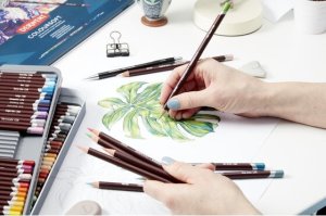 Starpak Derwent Coloursoft pencil - med 72 stk. tinæske 4