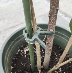 Gardlov Klipsy- zapinki do roślin- 108szt. 22586 7