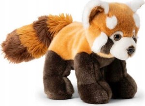 Dante Czerwona Panda 2