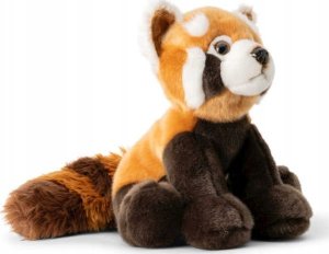 Dante Czerwona Panda 4