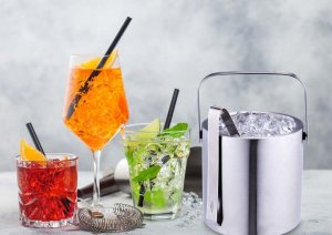 Alpina WIADERKO DO LODU 1,2L SZCZYPCE ALPINA 4