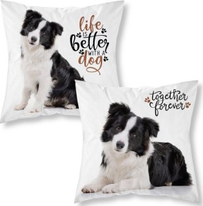 estilex Poszewka Na Poduszkę 40X40 Border Collie Mf 008 1