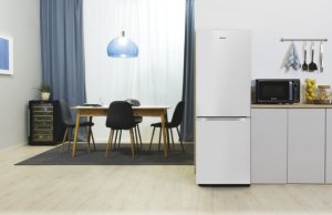 Lodówka Candy Candy CCG1L314EW Wolnostojący 157 l E Biały 8