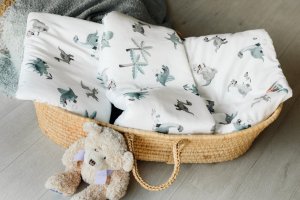 PULP BAMBOO Bambusowa pościel z wypełnieniem do łóżeczka 80x100 cm-Świat Dinozaurów 2