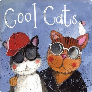 Teka Magnes FM221 Cool cats 1