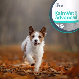 VetExpert VETEXPERT KalmVet Advanced 60kaps. 3