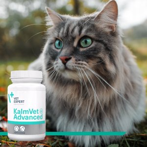 VetExpert VETEXPERT KalmVet Advanced 60kaps. 4