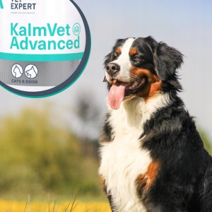 VetExpert VETEXPERT KalmVet Advanced 60kaps. 5