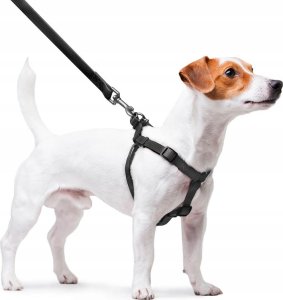 Collar WAU DOG SMYCZ WATERPROOF 2,0/305cm PVC    CZARNA 3