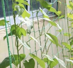 Gardlov Siatka - podpora do roślin 2x20m Gardlov 23980 9