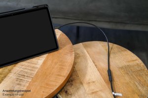 Kabel USB Good Connections USB-C - USB-C 0.5 m Czarny (2831-CV005S) 2