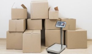 Malatec Waga magazynowa do 100kg 23536 5